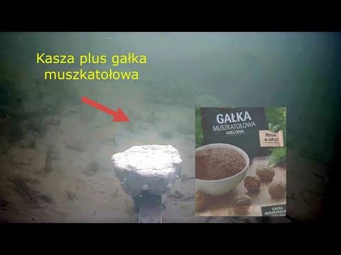 Reakcja ryb na galke muszkatolowa