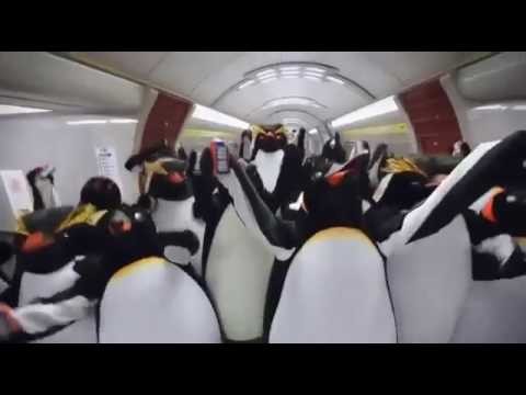 Imprezowe Pingwiny 