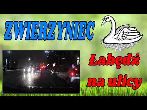 A ja chodze... desperacko i na przekor
