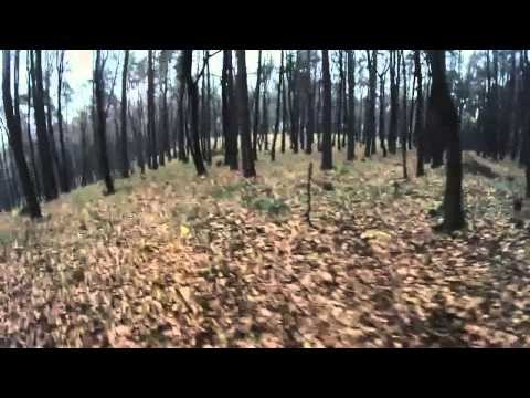 Grzybwiarz rozwiesza stalowe linki w lesie
