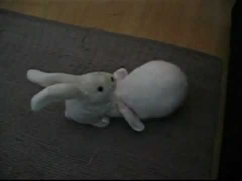 Very Funny Rabbit