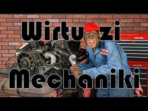 Wirtuozi Mechaniki powracaja. Zwierzeta daja rade 