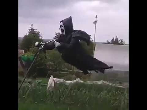Strach na Wroble