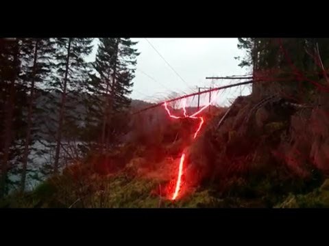 Norweski sposob jak zabic drzewo