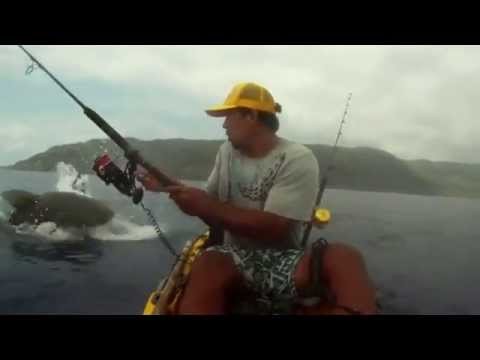 Shark Surprises Kayak Fisherman