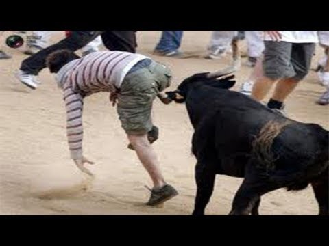 FAIL COMPILTION 2013 Bull vs sloppy humans