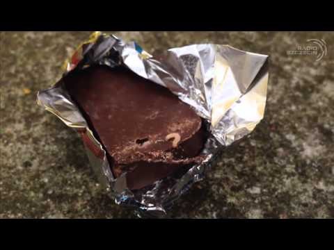Larwy w czekoladowych cukierkach