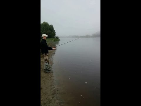 Nietypowy gosc na rybach