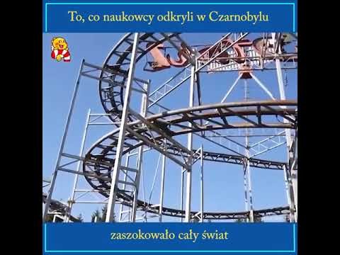 To, co naukowcy odkryli w Czarnobylu, zaszokowalo caly swiat.