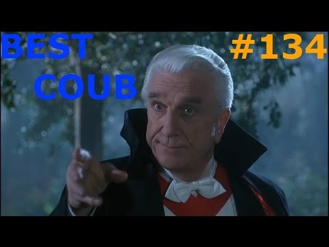 BEST COUB #134