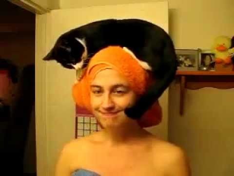 Cat Hat