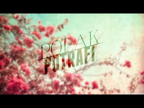 Polak potrafi