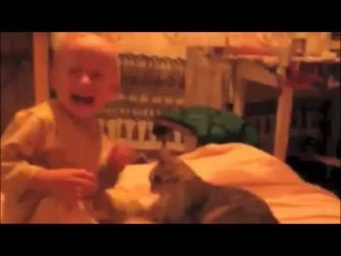Kot atakuje dziecko