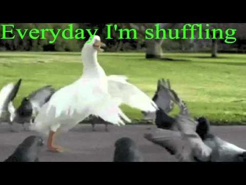 Everyday I'm shuffling