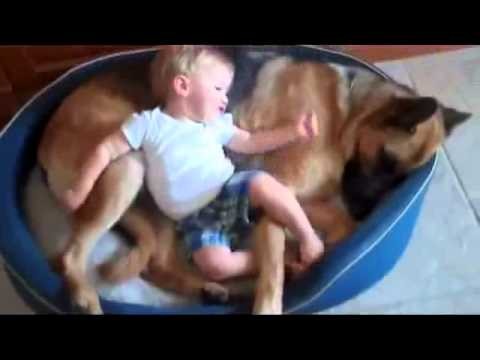 Psy i dzieci 