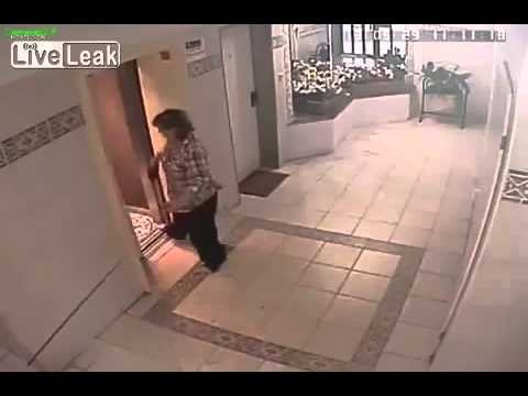  Dog escapes near death in an elevator