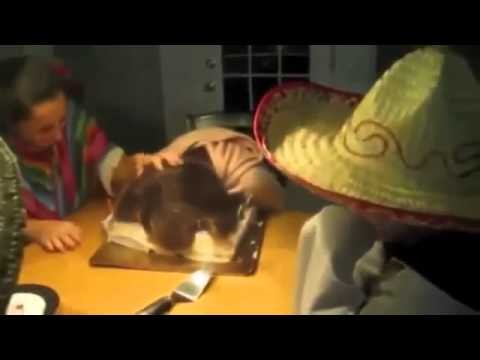 Urodzinowy Fail Urodzinowy Fail