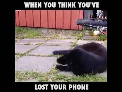 Kiedy myslisz ze zgubiles swoj telefon