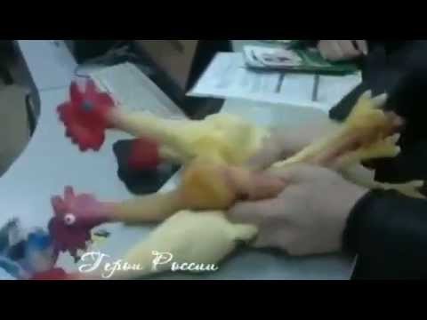 How to play on chickens