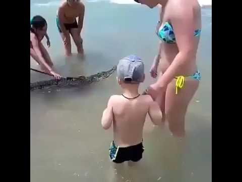 Rusek spaceruje z krokodylem po plazy