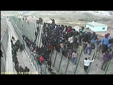 Imigranci prowokuja straz graniczna
