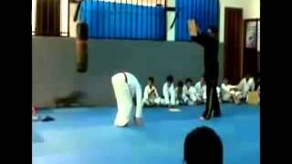 Pokaz Teakwondo 