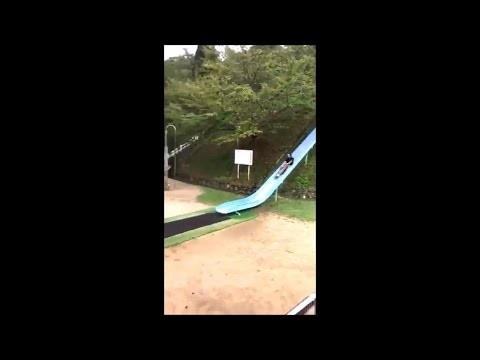 Gorka w japonskim parku