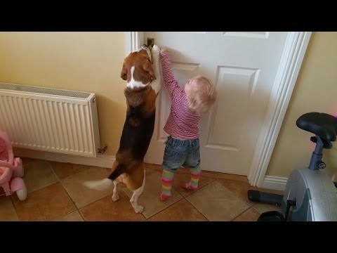 Pies pomaga dziecku otworzyc drzwi!