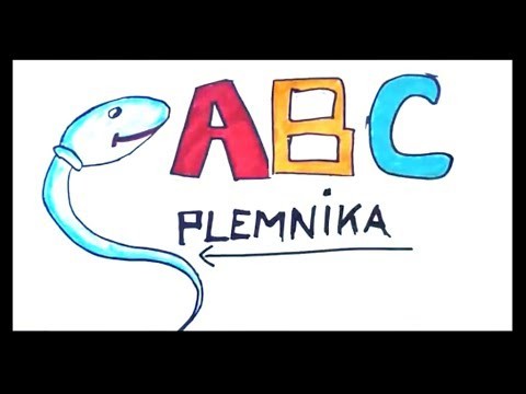 ABC Plemnika  