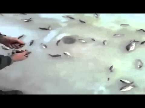Lowienie ryb w Rosji