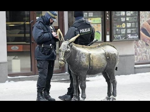 Rozpedzili sie - Straz Miejska Wroclaw 