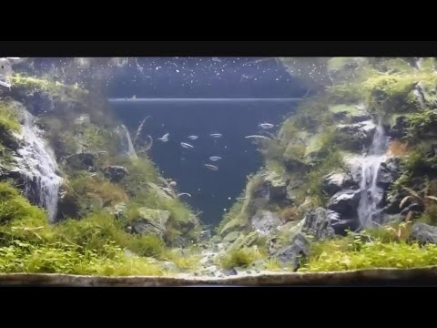 Wodospad w akwarium