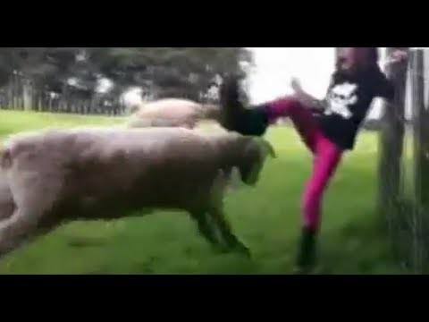 September Fail Compilation 2011 || YDL 