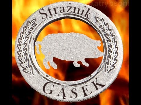 Straznik Gasek