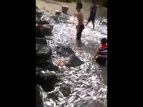 Niezwykle lowienie ryb