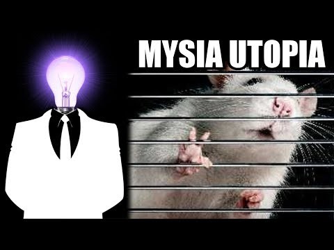 Mysia utopia: eksperyment Calhouna