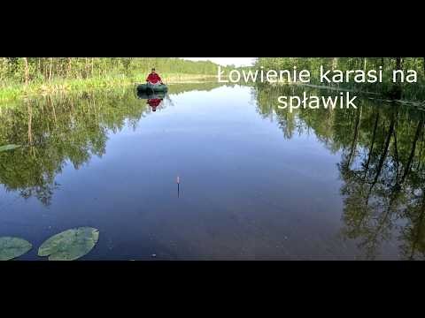 Lowienie karasi na splawik