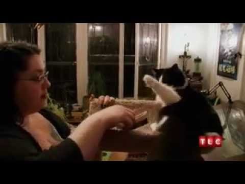 Kobieta zajada sie sierscia swojego kota.