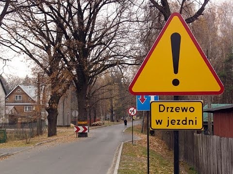 Na polskich drogach