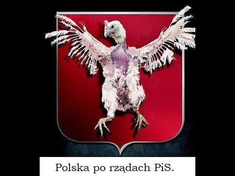 PiS rady dla Polakow vs PiS rady dla swoich 