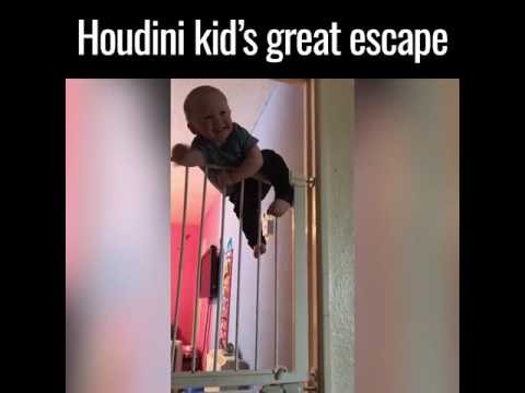 Houdini kid's great escape 