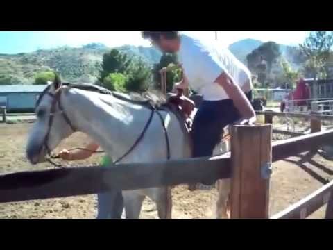 Nieudany skok na konia