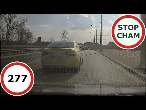 Stop Cham Ku przestrodze #277