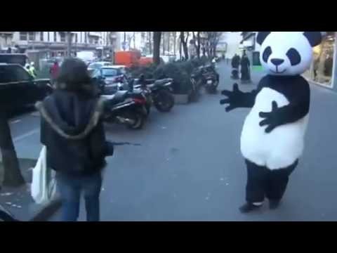 Panda kontroluje grawitacja