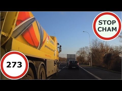 Stop Cham Ku przestrodze #273