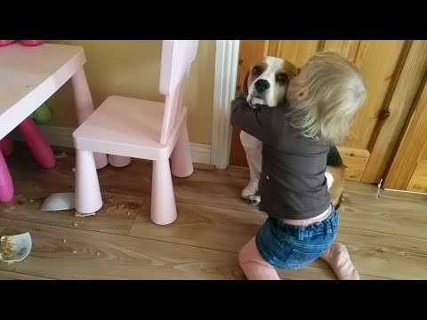 Reakcja dziecka na psa, ktory rozbil ulubiona miske z obiadem