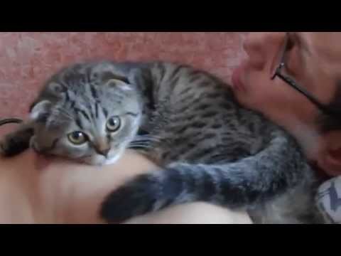 Kot uwielbia swojego pana