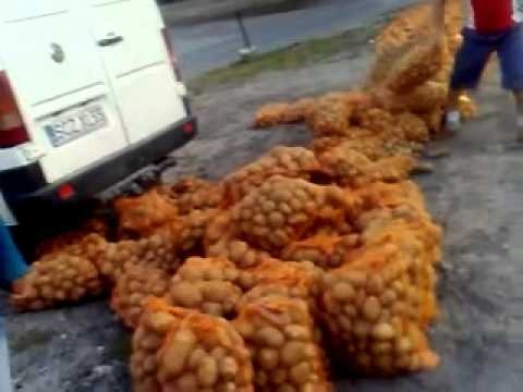 Awantura o ziemniaki 