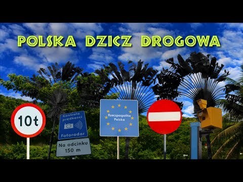 Bezmyslnosc Polskich kierowcow