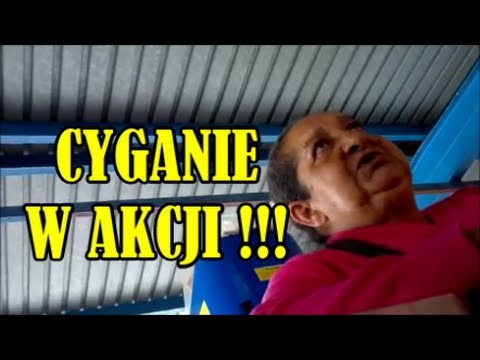 Cyganie w akcji